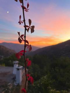 Retiro en la Alpujarra - Bubión - 6