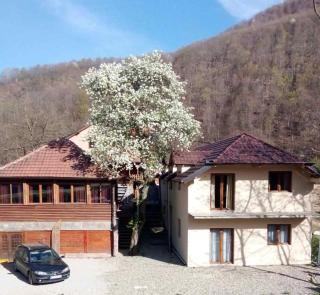 Velebit apartmani - Crni Vrh - 9