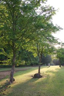 Berghaven Cottages - Winterton - 5