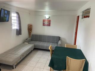 Logement de 40m2 avec terrasse, moderne et équipé - Petit-Canal - 8