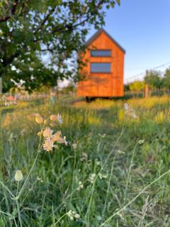Tiny house Pálava - 9