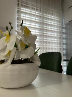 3A Apartment - Tirana - 2