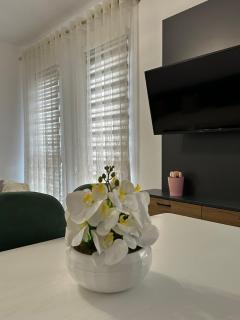 3A Apartment - Tirana - 9