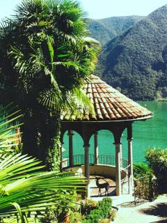 Barony Agave - Lugano - 8