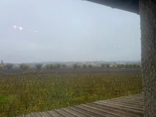 Appartement au pied des Vignes - Vosne-Romanée - 9