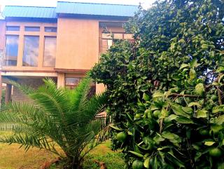 Light inn house Batumi - 6