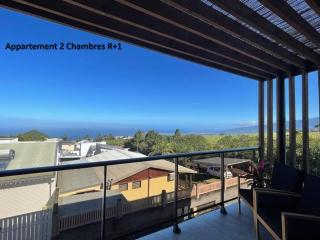 Mont-Vert exotique - Calme - Vue et PARKING - 3