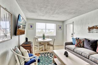 Friendly Native 204 - St Pete Beach - 3