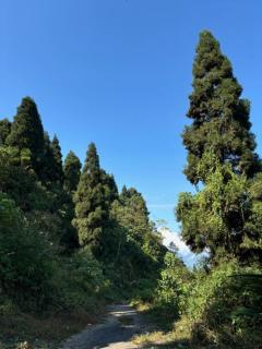 Deolo Mist - A Boutique Mountain Hotel - Kalimpong - 2