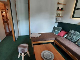 Studio confortable 4 pers, ski et commerces à proximité, animaux admis - FR-1-356-280 - Valmorel - 9
