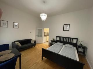 Cosy nice apartment - Stepanska Prague 1 - Prague - 6