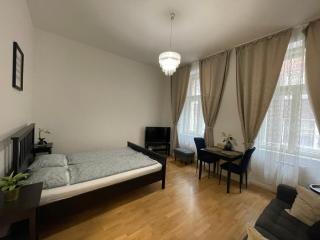 Cosy nice apartment - Stepanska Prague 1 - Prague - 8
