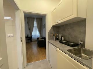 Cosy nice apartment - Stepanska Prague 1 - Prague - 4