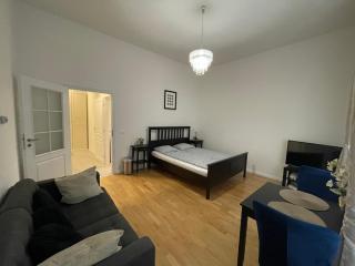 Cosy nice apartment - Stepanska Prague 1 - Prague - 7