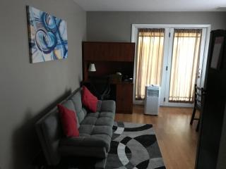 Private king suite - Dubuque - 3