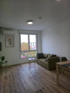 303 - Strasbourg appartement Green refait à neuf - Strasburgo - 8