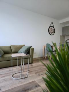303 - Strasbourg appartement Green refait à neuf - Strasburgo - 5