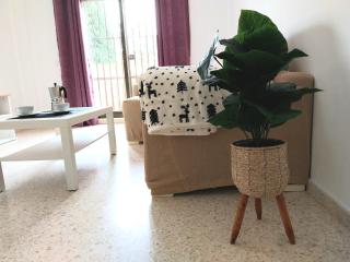 Top Suite Apartment Jerez Jardín y Patio - Jerez de la Frontera - 4