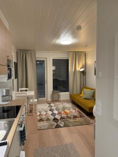 Studio Mukka, Ivalo Center - Inari - 4