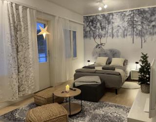 Studio Rudolf - Comfy city apartment with Private sauna & Free Wi-Fi - 7