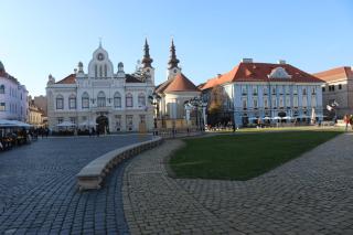 Charming Apartment in Timisoara Top Center - Timişoara - 3