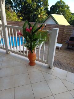 Bungalows Corail, F3 avec piscine à Sainte Luce - Sainte-Luce - 2