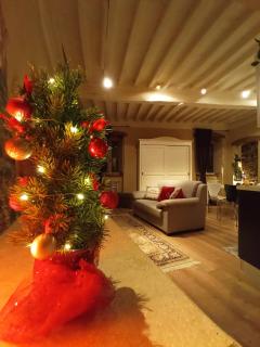 Appartamento Io e Te Cortona centro storico - seconda doccia su romantica corte - 0