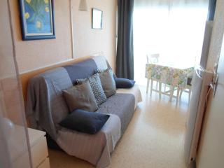 Appart cosy à Balaruc-les-Bains, proche Thermes, animaux admis, climatisation - FR-1-503-101 - Balaruc-les-Bains - 8