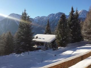 Chalet Alpen - Sorafurcia - 4