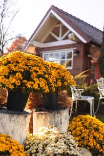 PENSIUNE RESTAURANT POIANA AVRIGULUI loc de joaca pentru copii - Avrig - 4