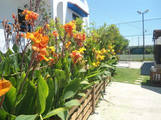 Evi Apartments And Studios - 2