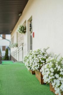 Pod Gromadzyniem Resort - Ustrzyki Dolne - 1