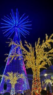 Plaza America Home - Vigo - 6
