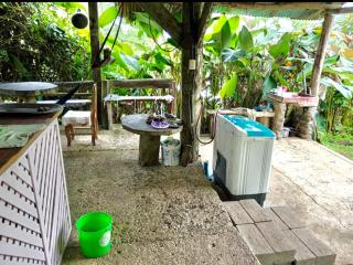 Jungle Jorges Casita - Drake - 2