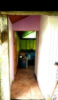 Jungle Jorges Casita - Drake - 5