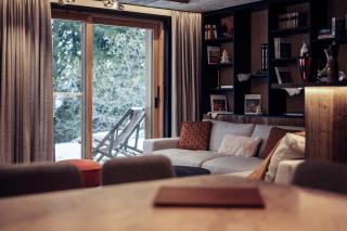 Antarès URSA 002 - luxury apartment ski inski out - 9