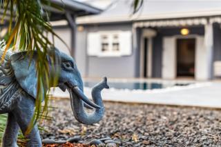 Villa Daminou - Lamentin - 5