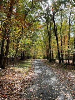 Hexagonal log cabin in woods - Swanton - 5