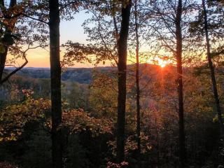 Tiny Home Big View - Knoxville - 9