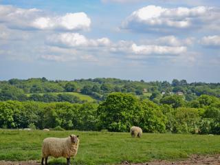 Stable Cottage - Ticehurst - 2