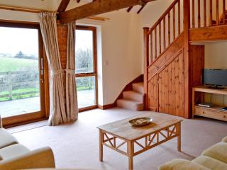Torridge - Great Torrington - 7