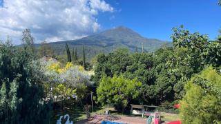 Hotel Indah Palace Tawangmangu - 4