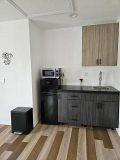 Newly Renovated Modern Studio - 9