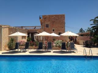 Agroturismo S Hort de Can Carrio AG226 - Ses Salines - 1
