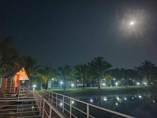 The Forest Hill Homestay - Ban Muang Len - 8