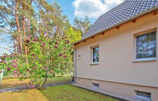 Ferienwohnung Torgelow - Torgelow - 3