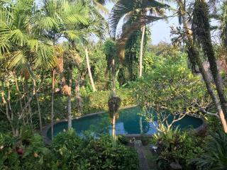 Anomcottages - Ubud - 5