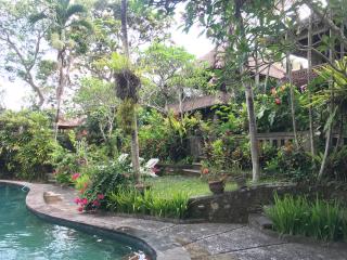 Anomcottages - Ubud - 6