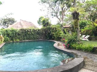 Anomcottages - Ubud - 7