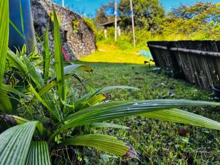 Greenmoret AgriTourism Villa - Bandarawela - 3